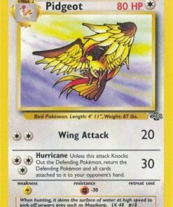 Pidgeot (24/64) - Jungle Unlimited