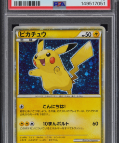 PSA 10 PIKACHU-HOLO
