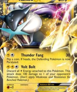 Raikou EX (38/108) - Dark Explorers Holofoil