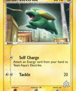 Team Aqua's Electrike (53/95) - Team Magma vs Team Aqua