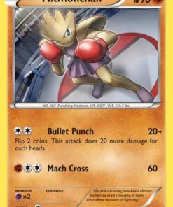Hitmonchan (48/111) - XY  Furious Fists Reverse Holofoil